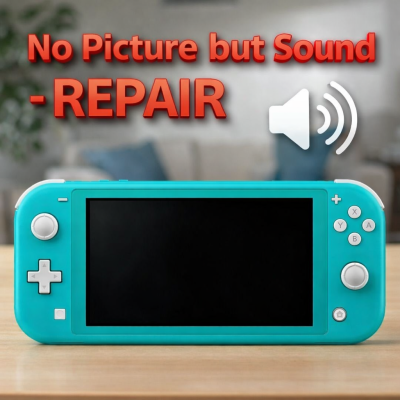 Nintendo Switch Lite No Picture but Sound Repair